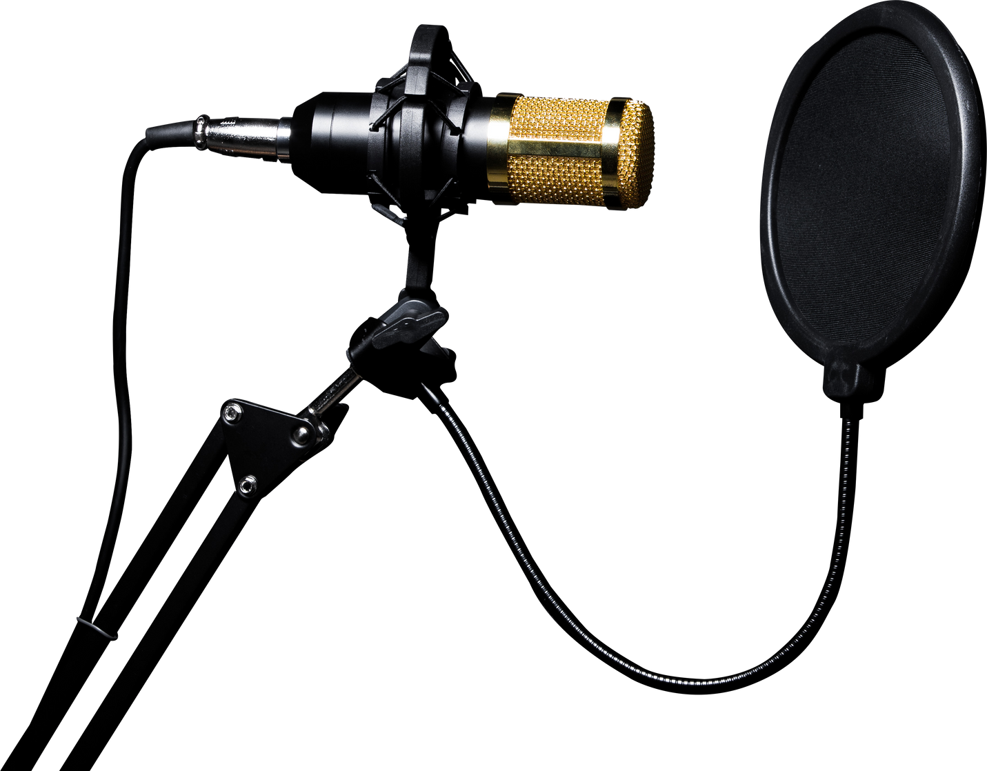 Microphone Condenser, gold mic with filter hang over sound